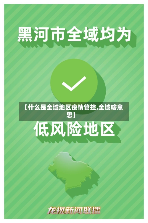 【什么是全域地区疫情管控,全域啥意思】-第3张图片