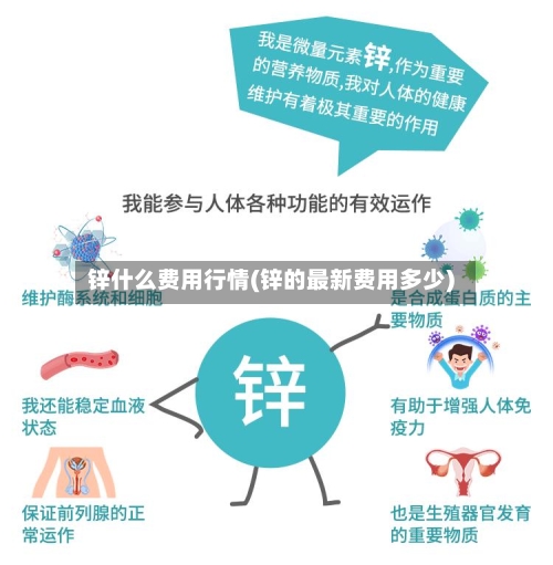 锌什么费用行情(锌的最新费用多少)-第3张图片