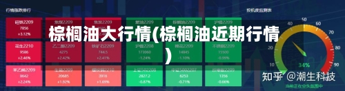 棕榈油大行情(棕榈油近期行情)-第3张图片