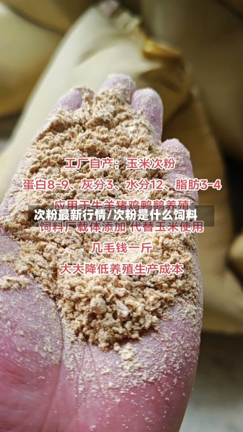 次粉最新行情/次粉是什么饲料-第3张图片