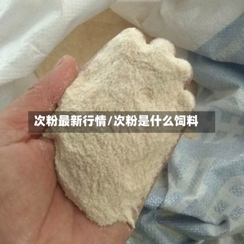次粉最新行情/次粉是什么饲料
