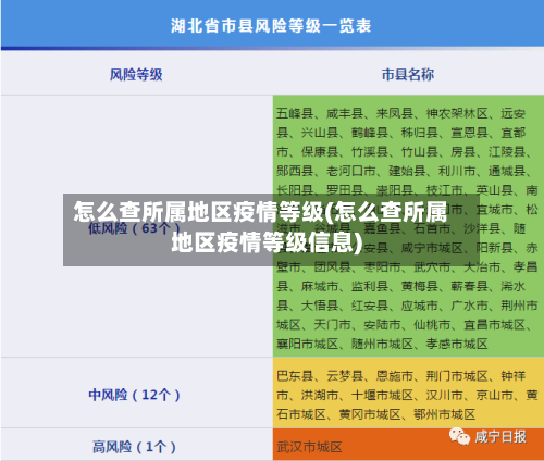 怎么查所属地区疫情等级(怎么查所属地区疫情等级信息)