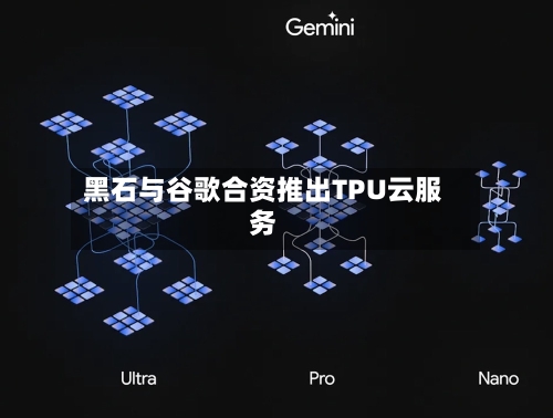 黑石与谷歌合资推出TPU云服务