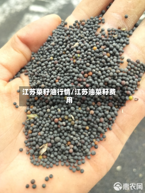 江苏菜籽油行情/江苏油菜籽费用-第2张图片