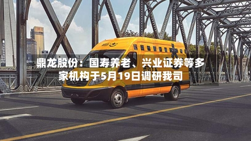鼎龙股份：国寿养老、兴业证券等多家机构于5月19日调研我司-第2张图片