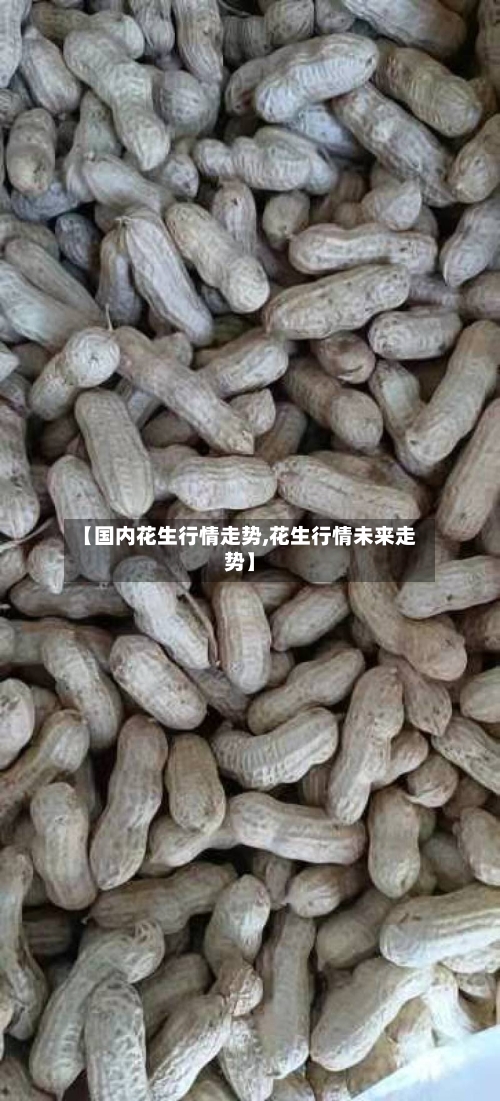 【国内花生行情走势,花生行情未来走势】