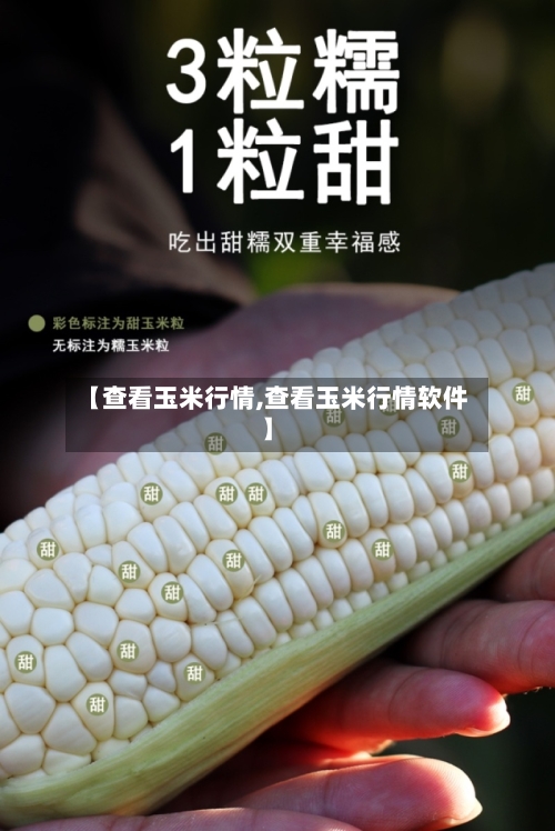 【查看玉米行情,查看玉米行情软件】