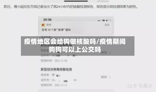疫情地区会给狗做核酸吗/疫情期间狗狗可以上公交吗-第2张图片