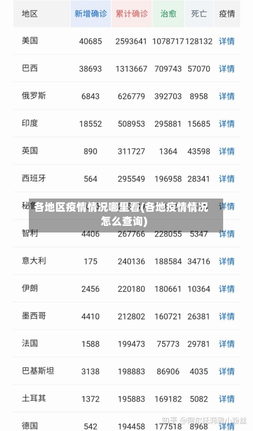 各地区疫情情况哪里看(各地疫情情况怎么查询)-第3张图片