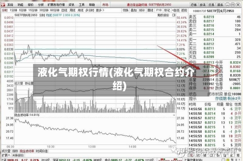 液化气期权行情(液化气期权合约介绍)-第2张图片