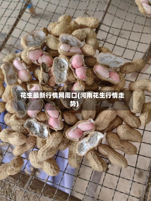 花生最新行情网周口(河南花生行情走势)-第3张图片
