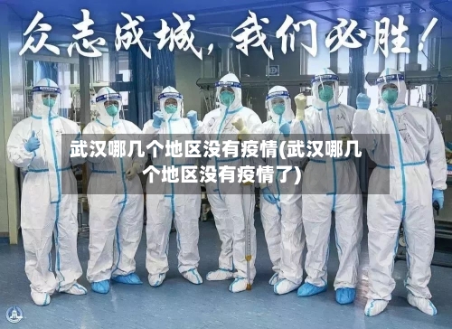 武汉哪几个地区没有疫情(武汉哪几个地区没有疫情了)-第2张图片