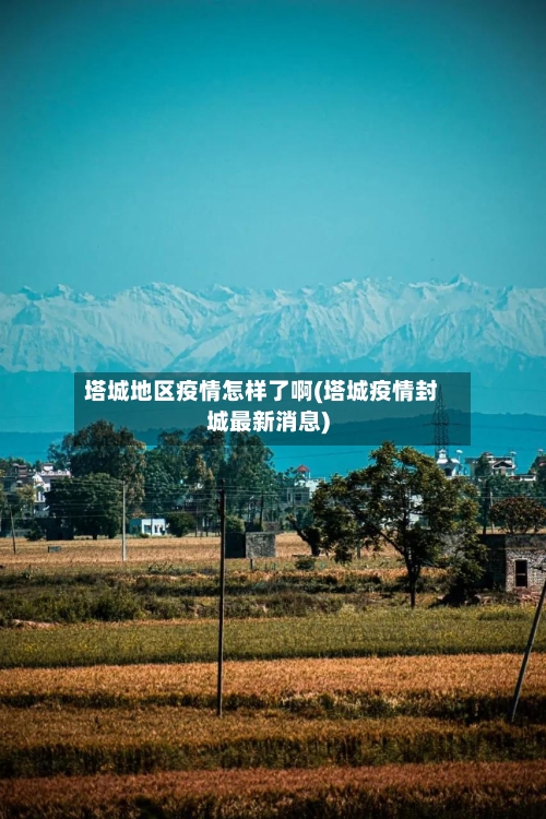 塔城地区疫情怎样了啊(塔城疫情封城最新消息)