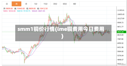 smm1铜价行情(lme铜费用今日费用)