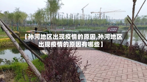 【孙河地区出现疫情的原因,孙河地区出现疫情的原因有哪些】-第2张图片