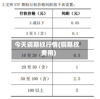 今天铜期权行情(铜期权费用)-第2张图片