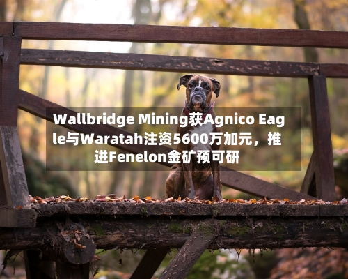 Wallbridge Mining获Agnico Eagle与Waratah注资5600万加元，推进Fenelon金矿预可研