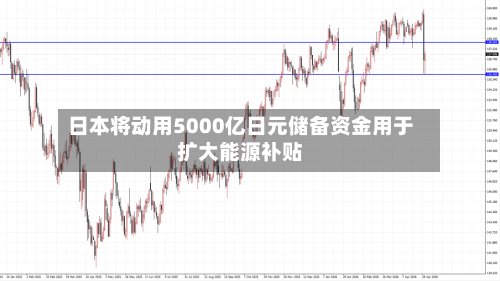 日本将动用5000亿日元储备资金用于扩大能源补贴