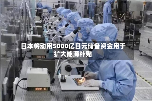 日本将动用5000亿日元储备资金用于扩大能源补贴-第2张图片