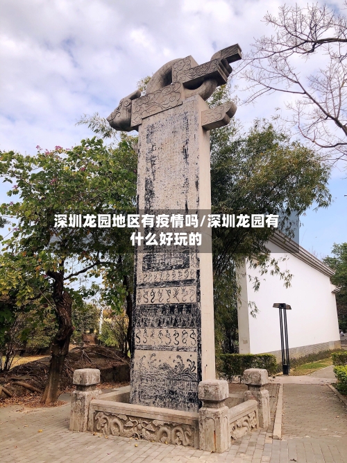 深圳龙园地区有疫情吗/深圳龙园有什么好玩的-第3张图片