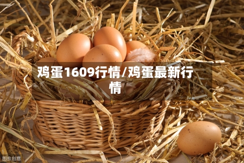 鸡蛋1609行情/鸡蛋最新行情-第2张图片