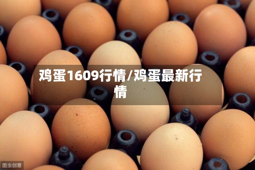 鸡蛋1609行情/鸡蛋最新行情