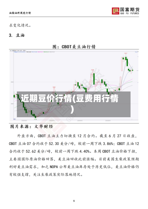 近期豆价行情(豆费用行情)-第2张图片