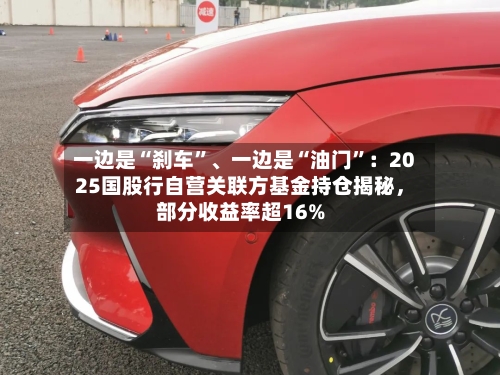 一边是“刹车”、一边是“油门”：2025国股行自营关联方基金持仓揭秘，部分收益率超16%-第1张图片