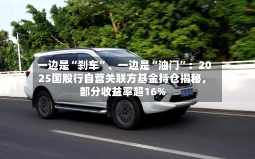 一边是“刹车	”、一边是“油门”：2025国股行自营关联方基金持仓揭秘，部分收益率超16%-第2张图片
