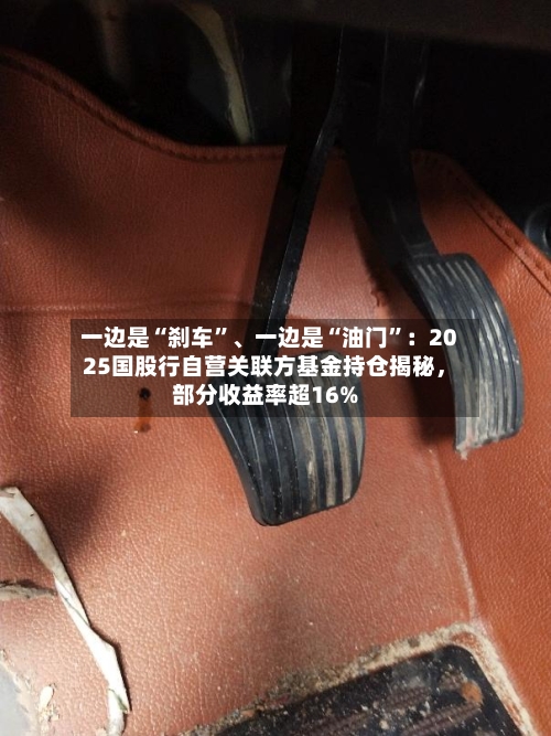 一边是“刹车”、一边是“油门	”：2025国股行自营关联方基金持仓揭秘	，部分收益率超16%-第3张图片
