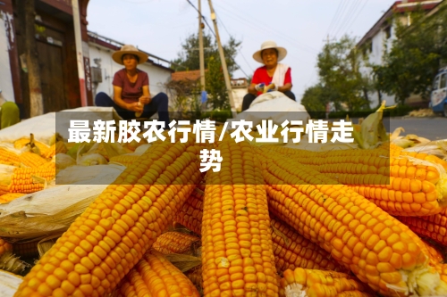 最新胶农行情/农业行情走势