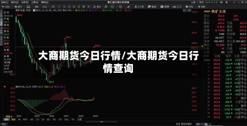 大商期货今日行情/大商期货今日行情查询