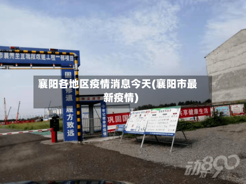 襄阳各地区疫情消息今天(襄阳市最新疫情)-第3张图片
