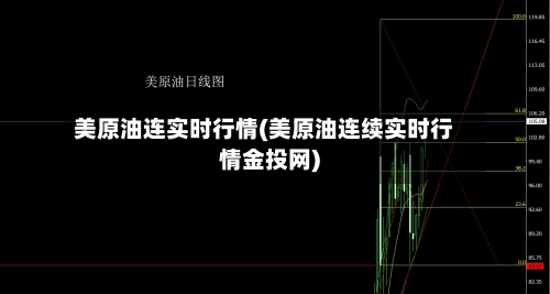 美原油连实时行情(美原油连续实时行情金投网)