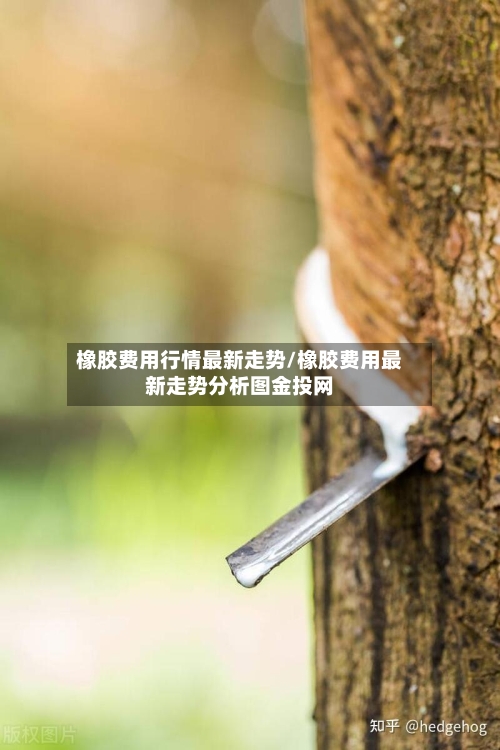 橡胶费用行情最新走势/橡胶费用最新走势分析图金投网-第2张图片