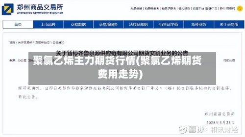 聚氯乙烯主力期货行情(聚氯乙烯期货费用走势)-第2张图片