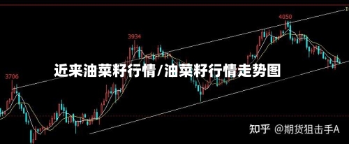 近来油菜籽行情/油菜籽行情走势图