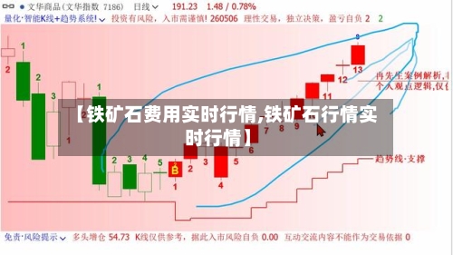 【铁矿石费用实时行情,铁矿石行情实时行情】
