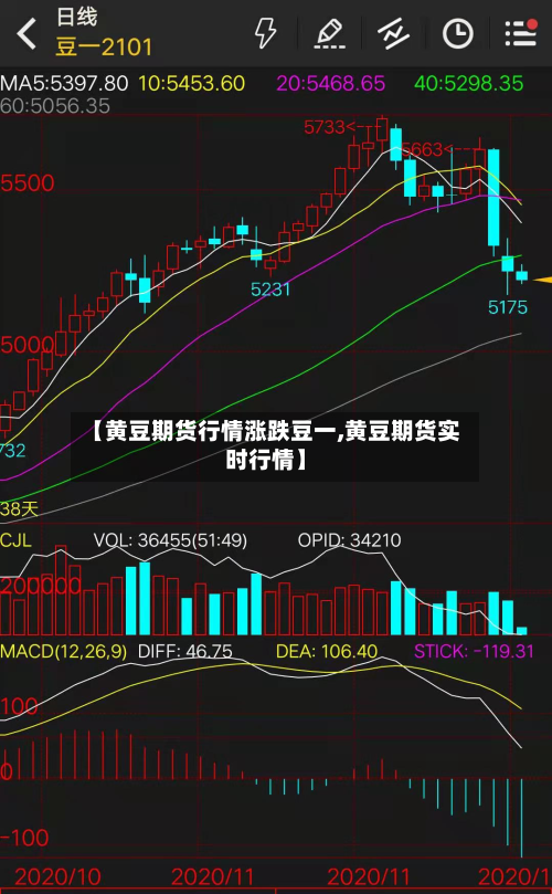【黄豆期货行情涨跌豆一,黄豆期货实时行情】-第3张图片
