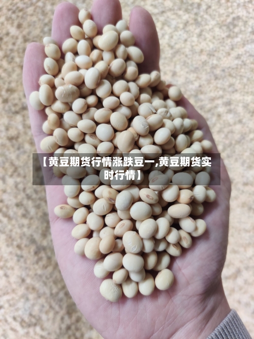 【黄豆期货行情涨跌豆一,黄豆期货实时行情】