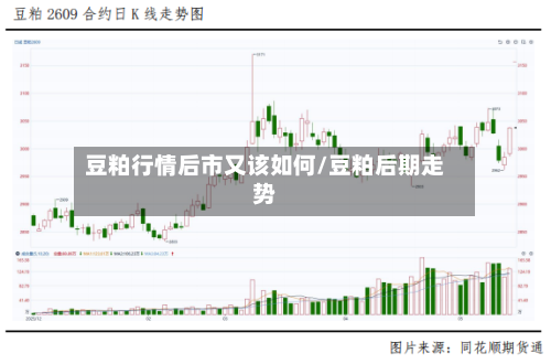 豆粕行情后市又该如何/豆粕后期走势-第2张图片