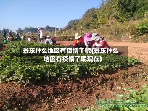 景东什么地区有疫情了呢(景东什么地区有疫情了呢现在)