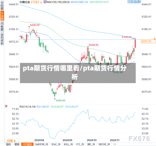pta期货行情哪里看/pta期货行情分析