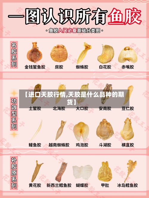 【进口天胶行情,天胶是什么品种的期货】-第2张图片