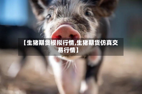 【生猪期货模拟行情,生猪期货仿真交易行情】-第2张图片