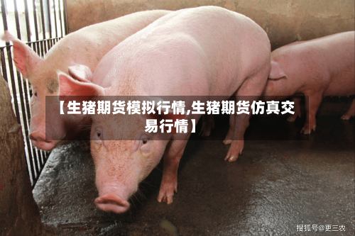 【生猪期货模拟行情,生猪期货仿真交易行情】