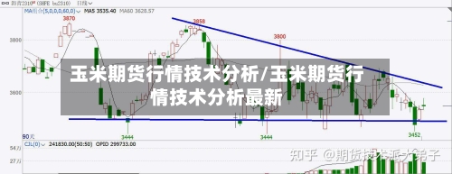 玉米期货行情技术分析/玉米期货行情技术分析最新-第2张图片