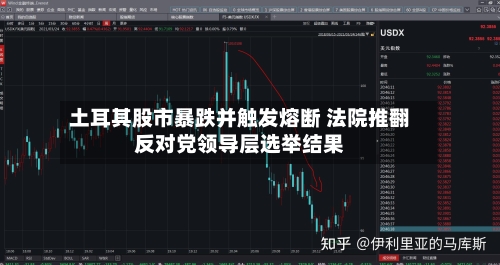 土耳其股市暴跌并触发熔断 法院推翻反对党领导层选举结果-第2张图片