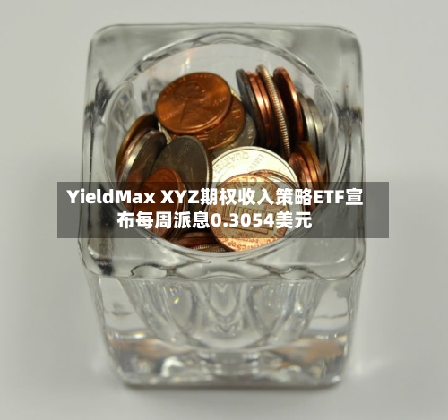 YieldMax XYZ期权收入策略ETF宣布每周派息0.3054美元-第2张图片