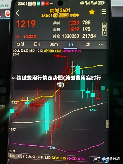 纯碱费用行情走势图(纯碱费用实时行情)-第2张图片